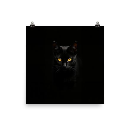 Mystic Gaze: Intense Black Cat