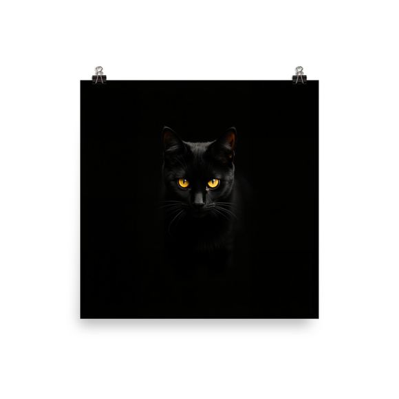 Mystic Gaze: Intense Black Cat
