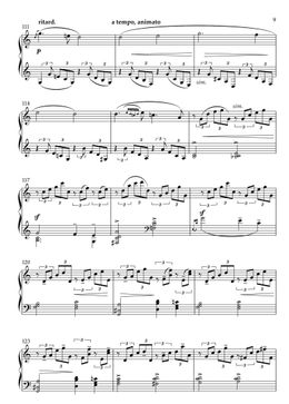 Schumann Piano Concerto in A minor. 1st Movement (abridged)